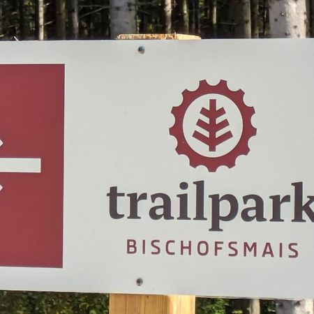 Ferienappartements Mit Herz Bischofsmais Eksteriør billede